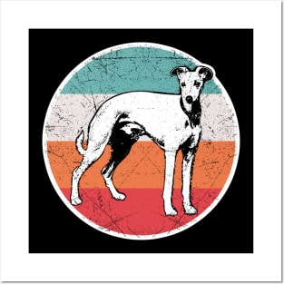 Vintage Retro Whippet Posters and Art